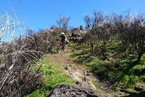 Trailcamp Madeira