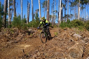Trailcamp Madeira