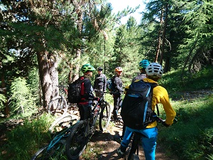 freeride Camp Livigno