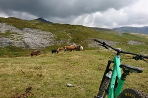 Trailcamp Flims