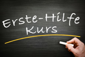 14.03.2021 Erste-Hilfe Kurs Bad Bramstedt - NUR BERUFLICH