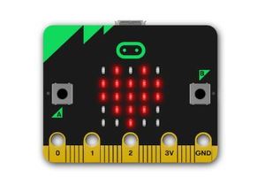 Microbit Material Fees