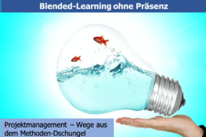 Projektmanagement - Wege aus dem Methodendschungel (Online-Learning)